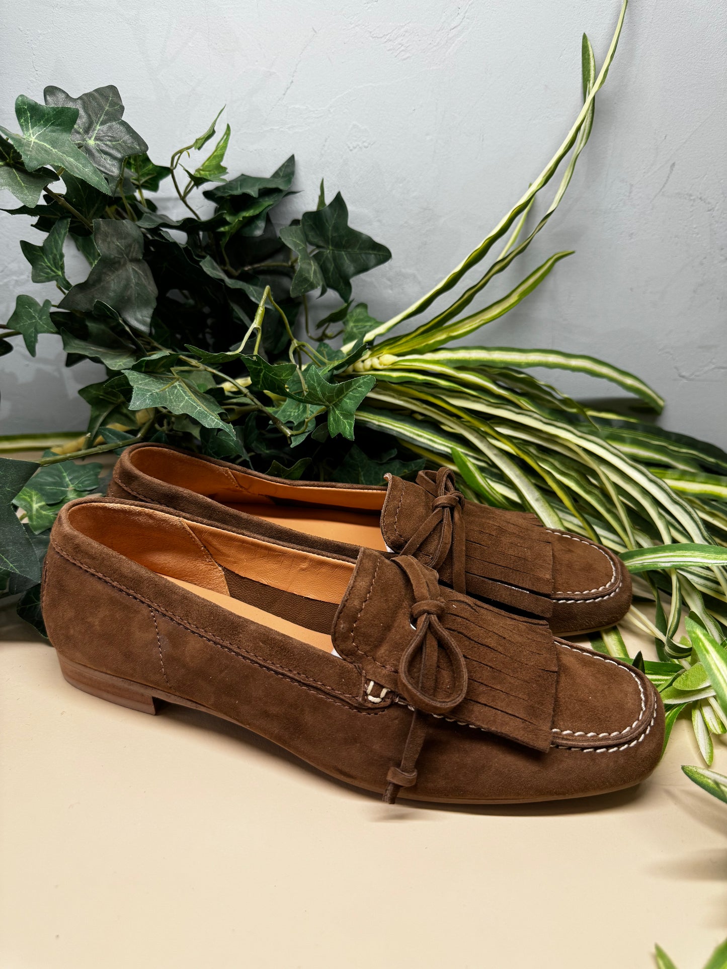 Mocassin